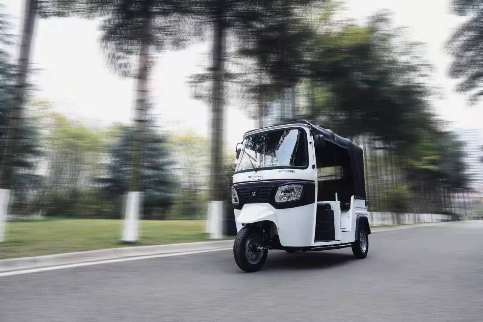 TUK TUK Auto Rickshaw thumbnail 3