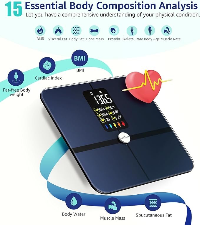 Body Fat Scale