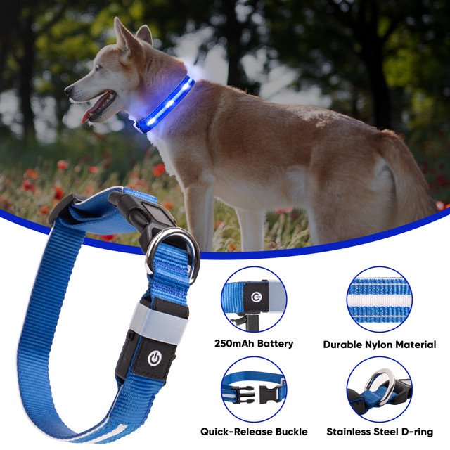 LED Dog Collar thumbnail 2