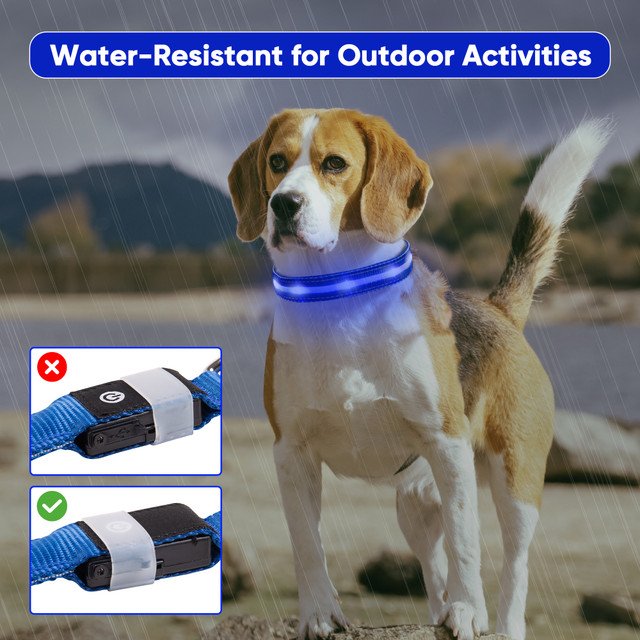 LED Dog Collar thumbnail 3