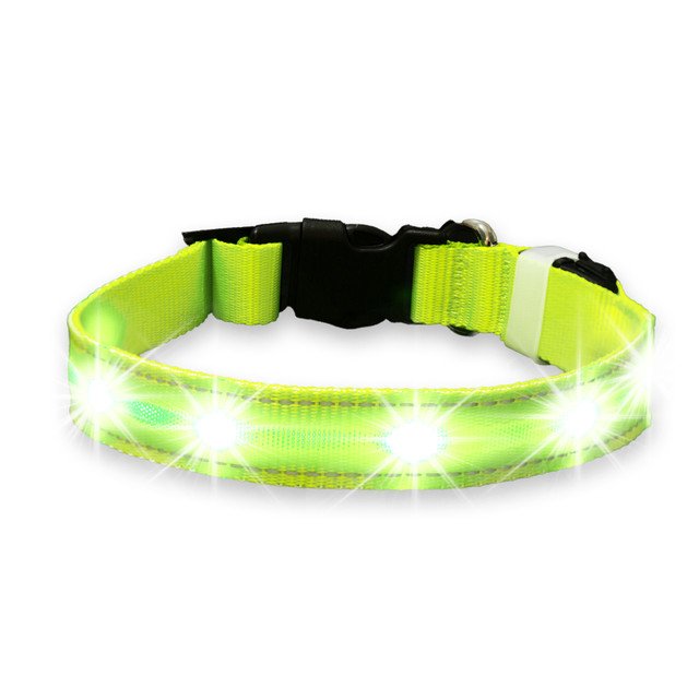 LED Dog Collar thumbnail 8