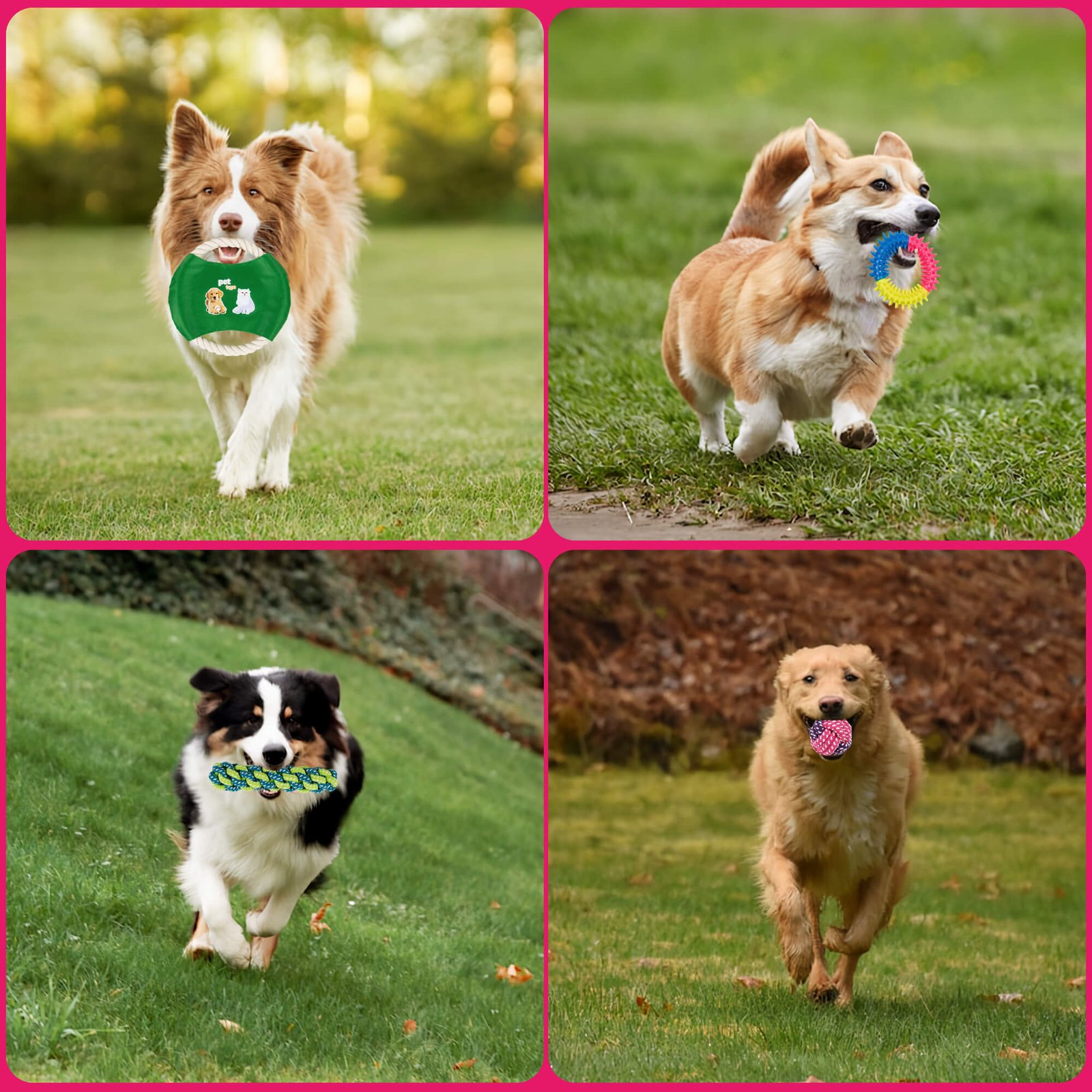 Pet dog cotton ball rope thumbnail 6