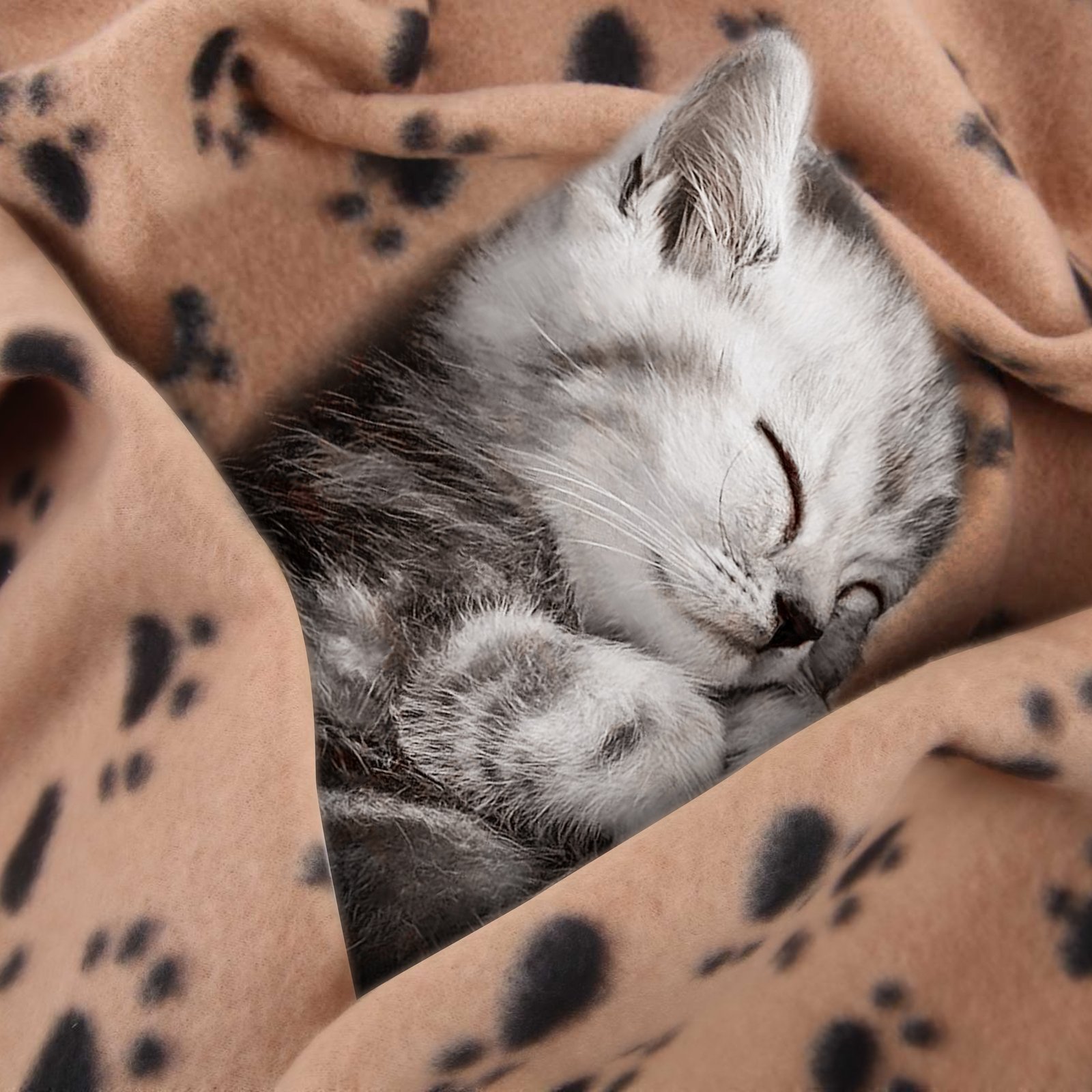 Pack of 3 Large Soft Fleece Pet Blanket thumbnail 7