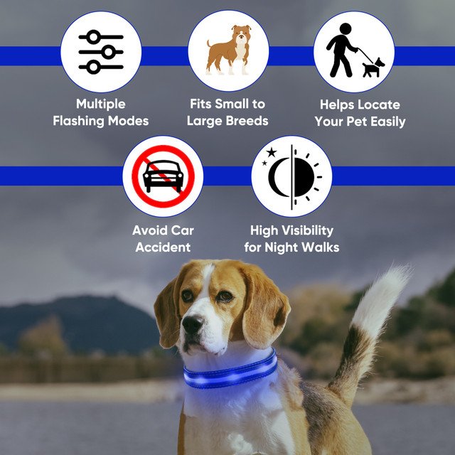 LED Dog Collar thumbnail 6