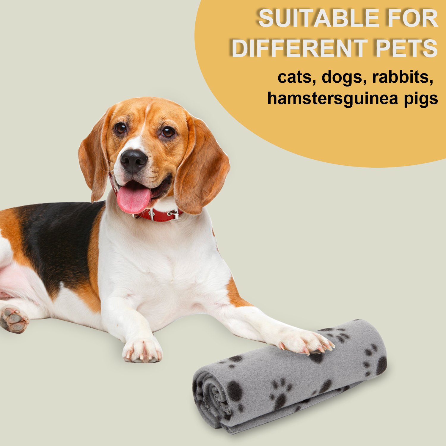 Pack of 3 Large Soft Fleece Pet Blanket