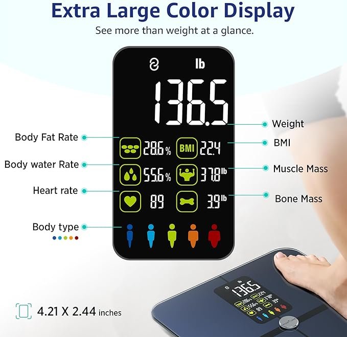 Body Fat Scale