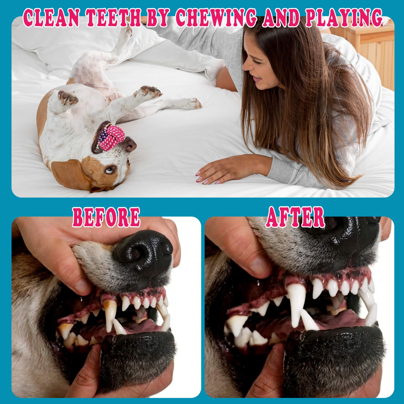 Pet dog cotton ball rope